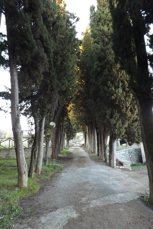 Ostello Il Volto Potenza Luaran gambar